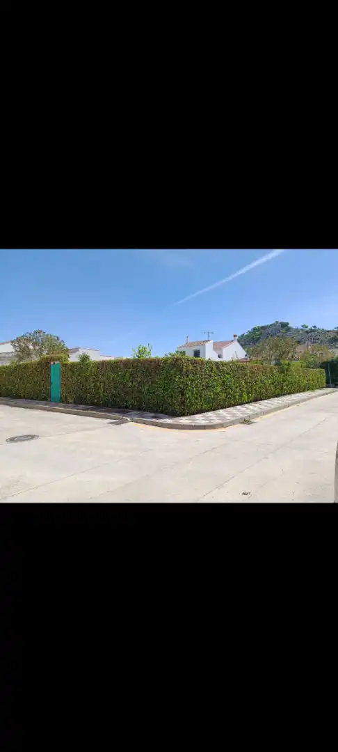 Terreny residencial en venda a Calle Ronda, imagen 5