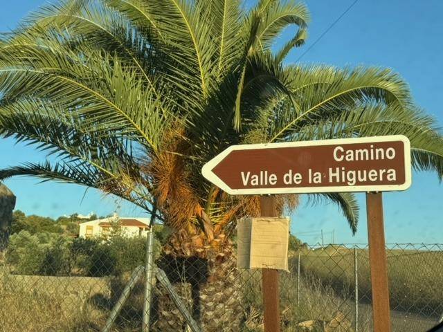 Terreno en Venta en Centro