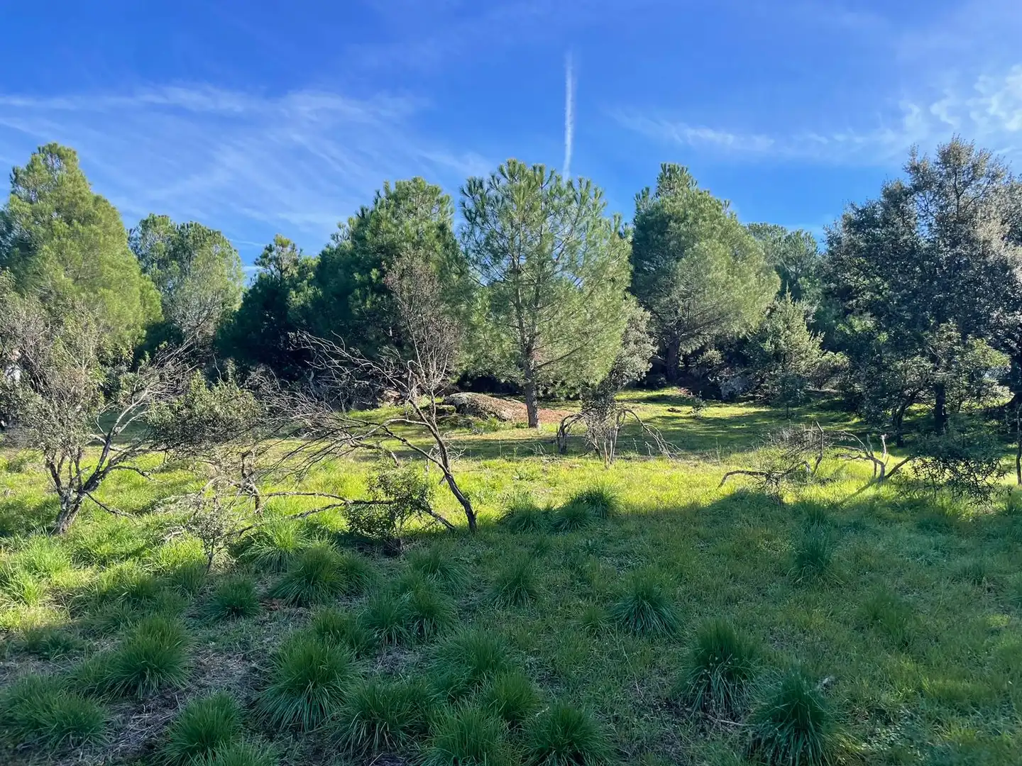 Residencial en venda a Avenida Sajonia, 4, Parquelagos - Puente Nuevo