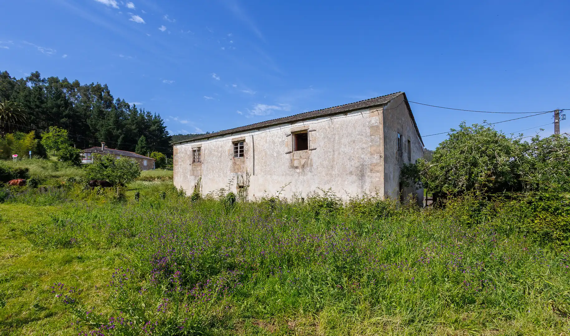 Vista exterior de Finca rústica en venda en Ourol