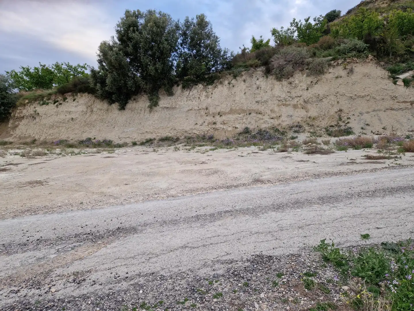 Land for sale in Villanueva del Río Segura