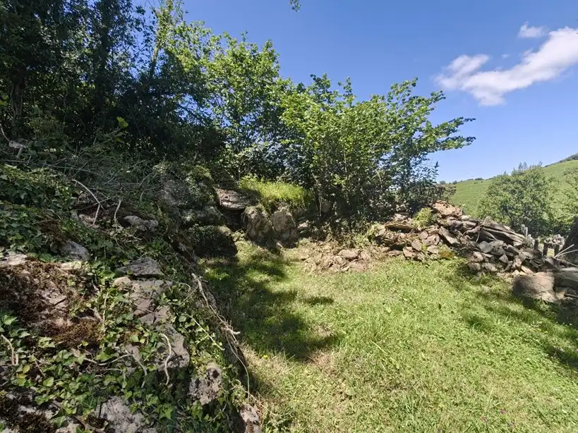 Terreno rustico in vendita a Proaza, imagen 47