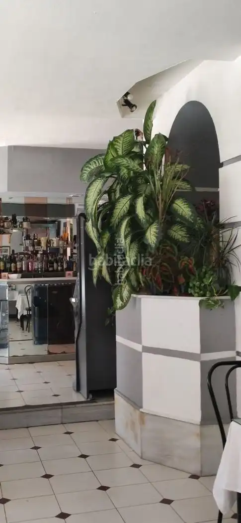 Local comercial en venta en Avenida José Simón de Lillo 35, imagen 2