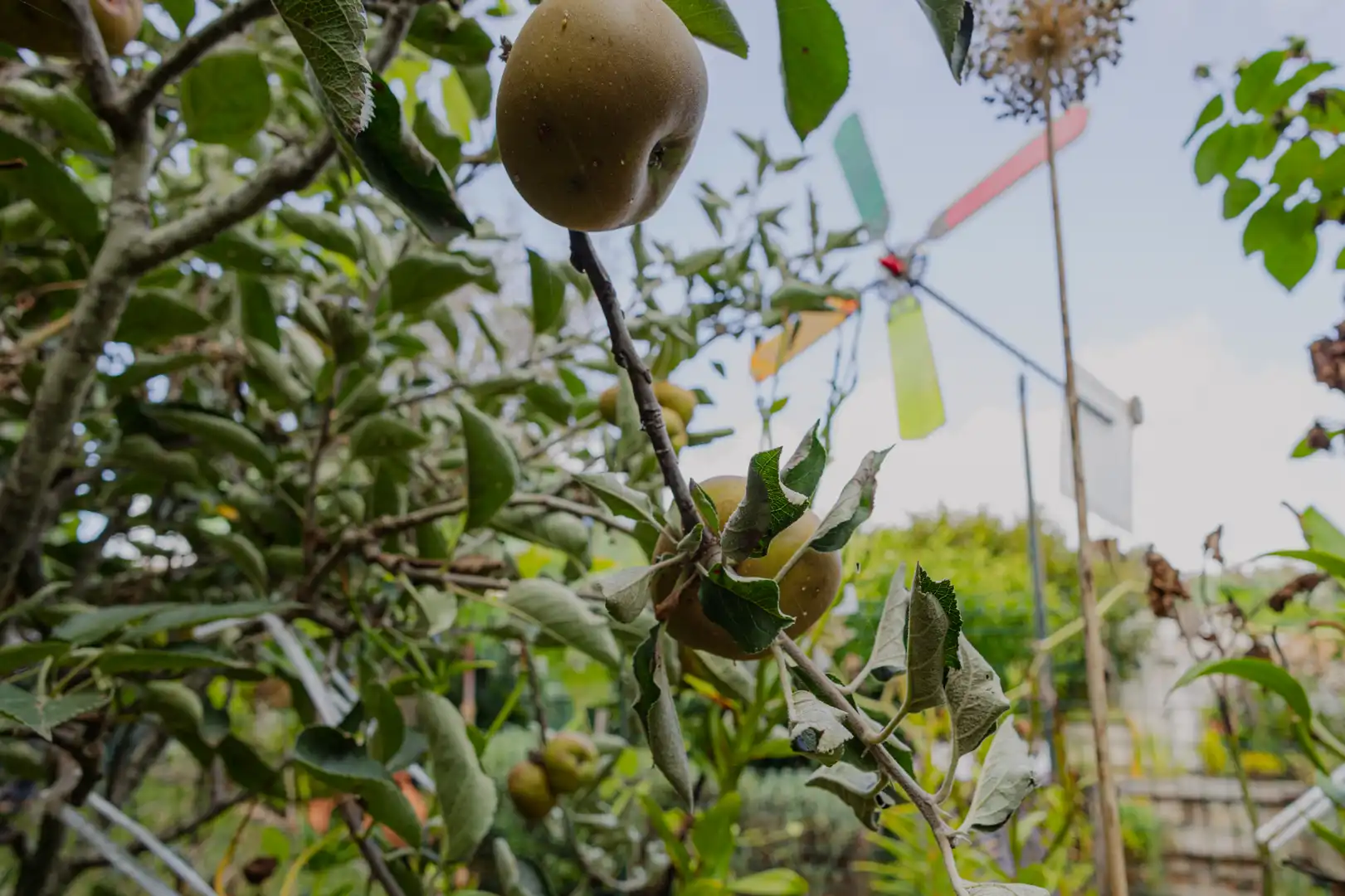 Jardí de Casa o xalet en venda en Guamasa - El Ortigal - Los Rodeos