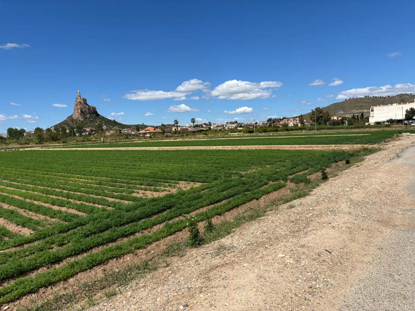 Residencial en venta en Murcia
