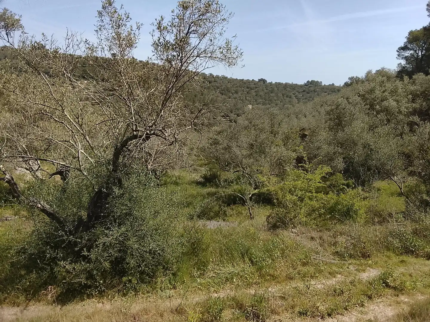Maison rustique à vendre à Camí de la Finca del Governador, imagen 10