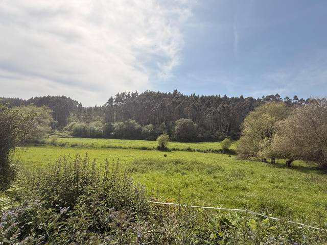 Terreno residencial en Venta en Güemes