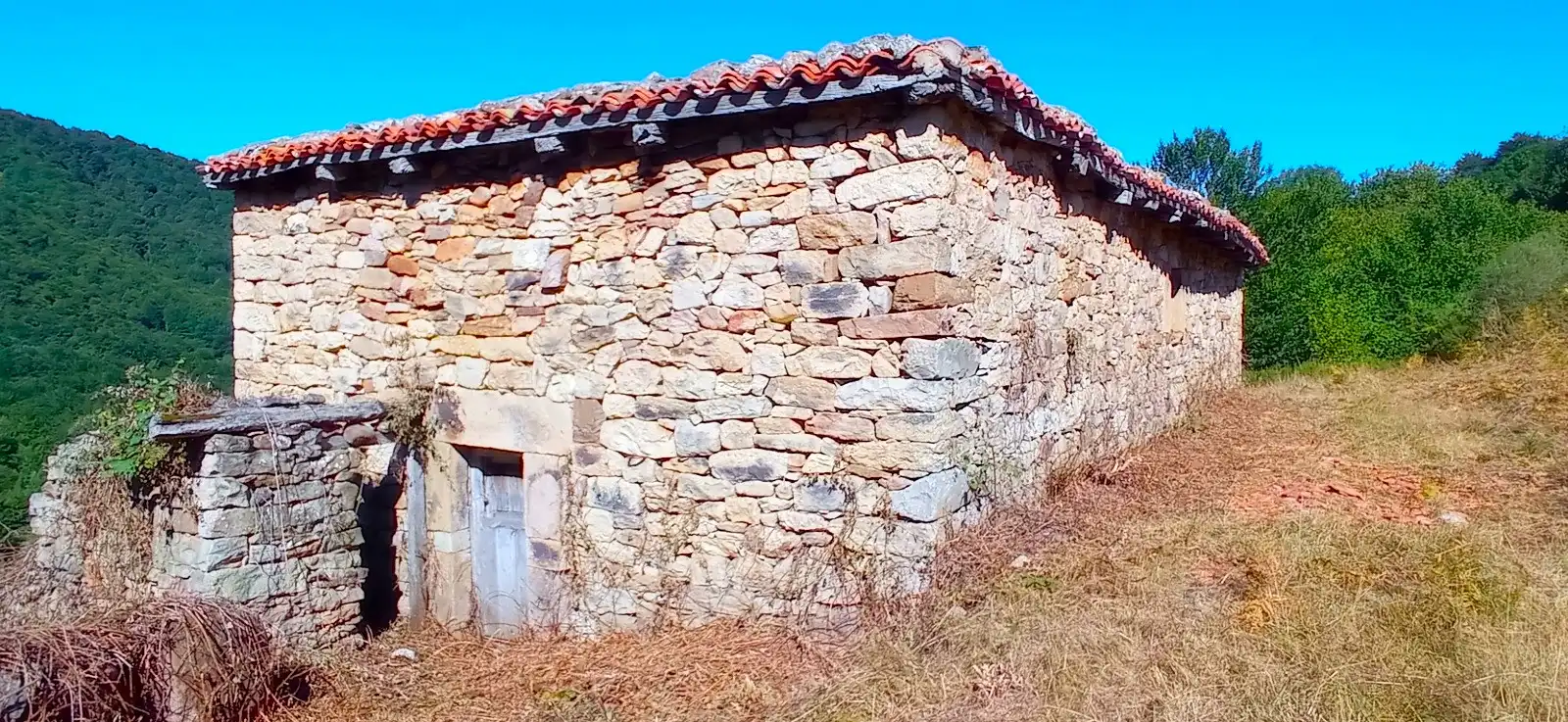 Vista exterior de Casa o chalet en venta en Polaciones con Jardín privado