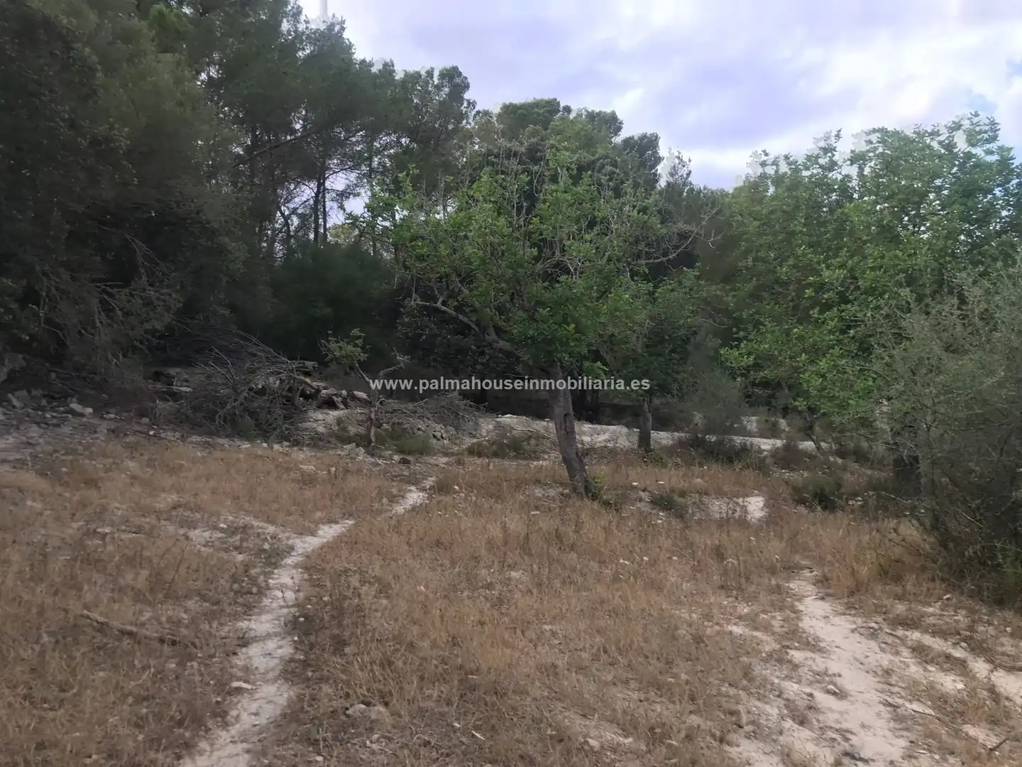 Finca rústica en venta en Maria de la Salut con Calefacción y Terraza