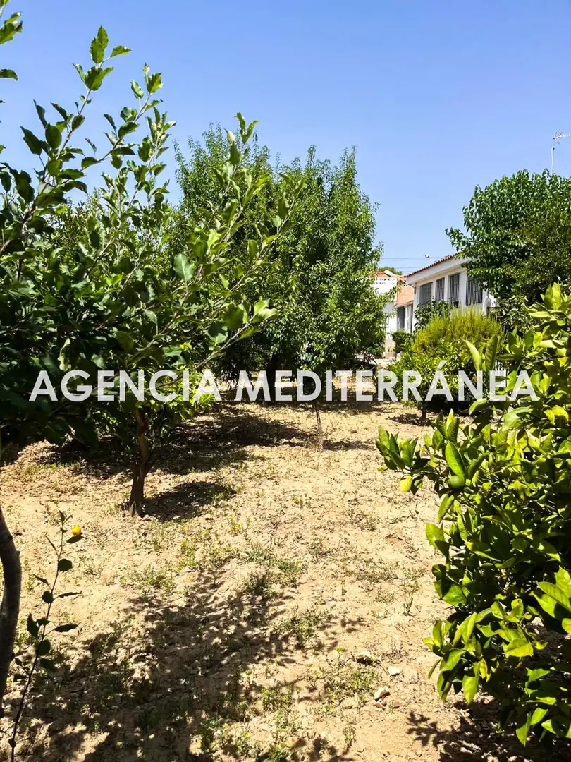 Chalet con piscina en venta en Montserrat, imagen 67