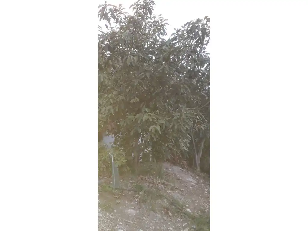 Maison à vendre à Frigiliana, imagen 7