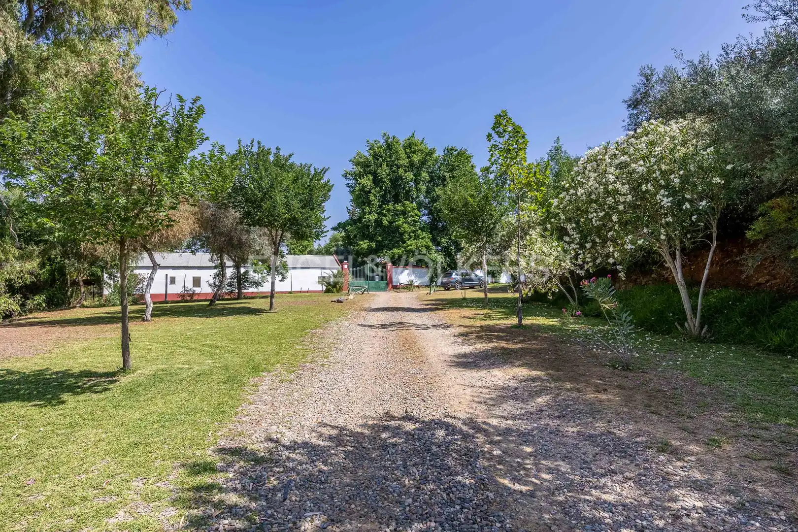 Vista exterior de Finca rústica en venta en Alcalá del Río con Aire acondicionado, Calefacción y Jardín privado