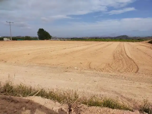 Residential land for sale in Aspe Centro, imagen 2