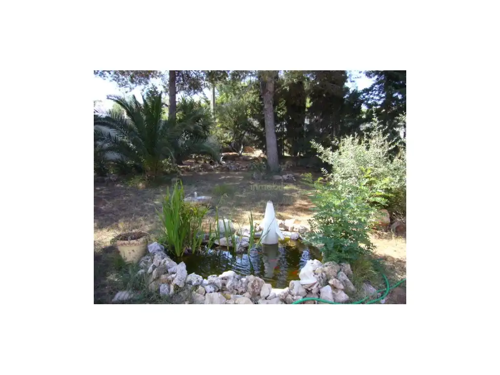 Detached house with pool for sale in CAMPEADOR, imagen 2