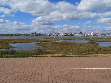 Local comercial en venda a Paseo Paseo del Pinillo 16D