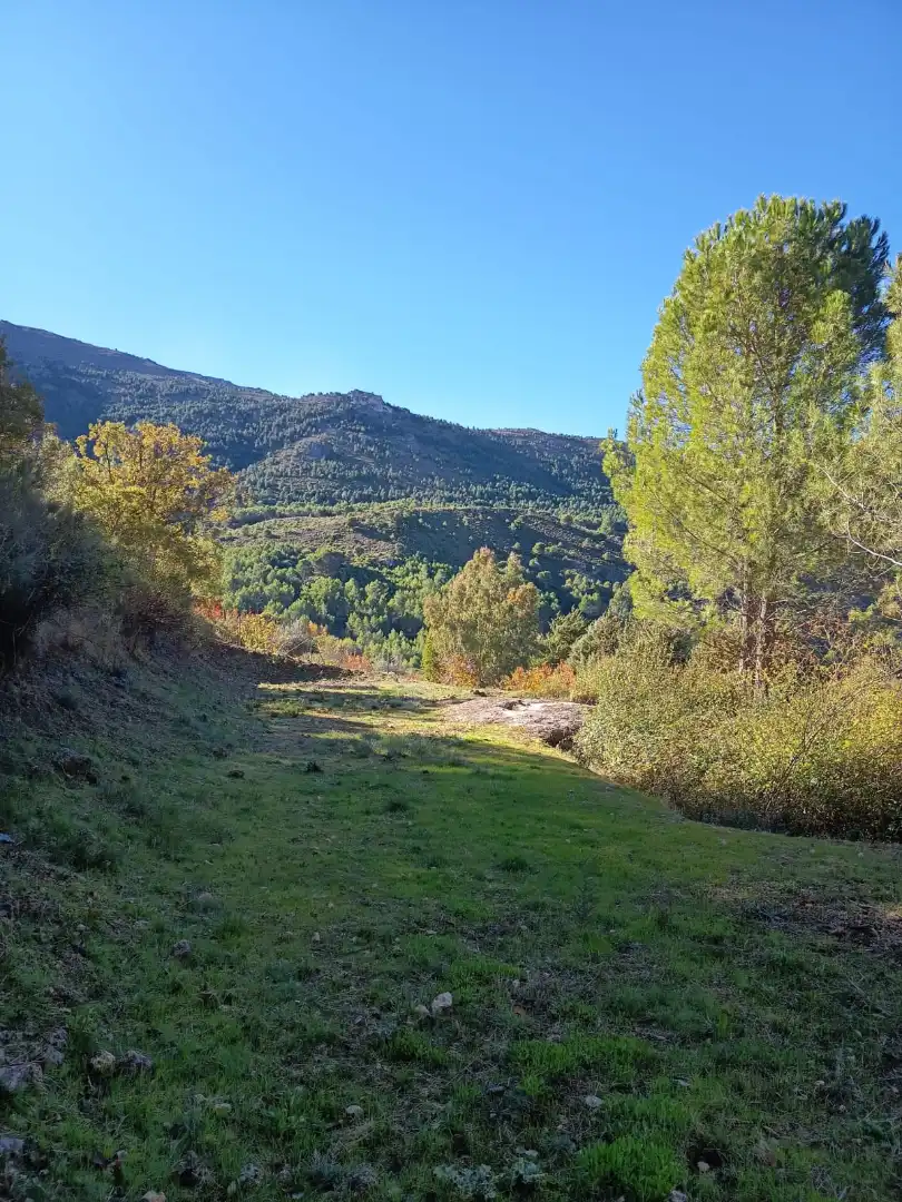 Residencial en venta en Cuesta de los Pinos, Los Villares