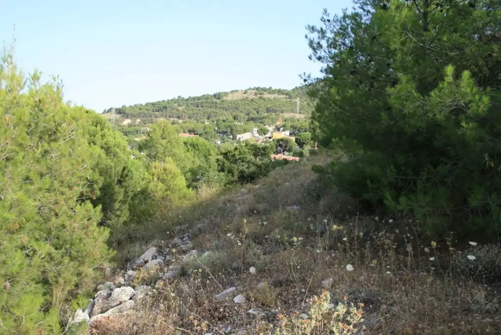 Terreni e lotti in vendita a Pinos de Alhaurín - Periferia, imagen 3