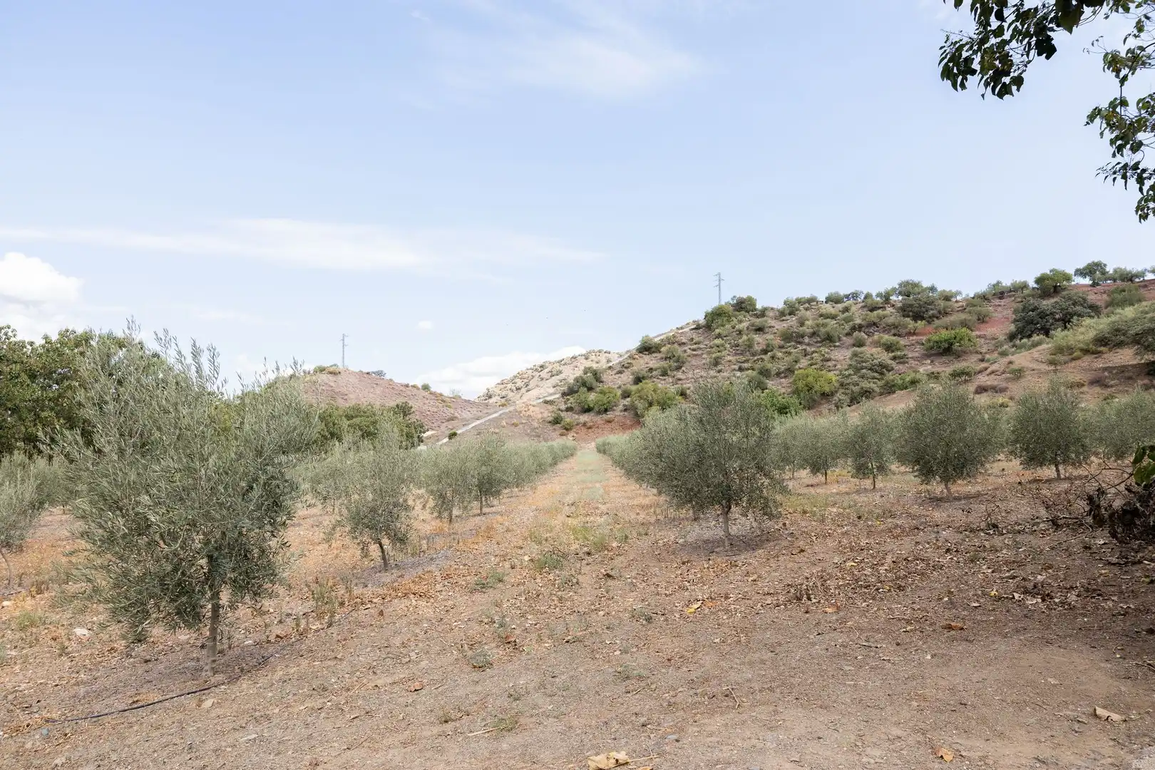 Finca rústica en venda en Málaga amb Terrassa