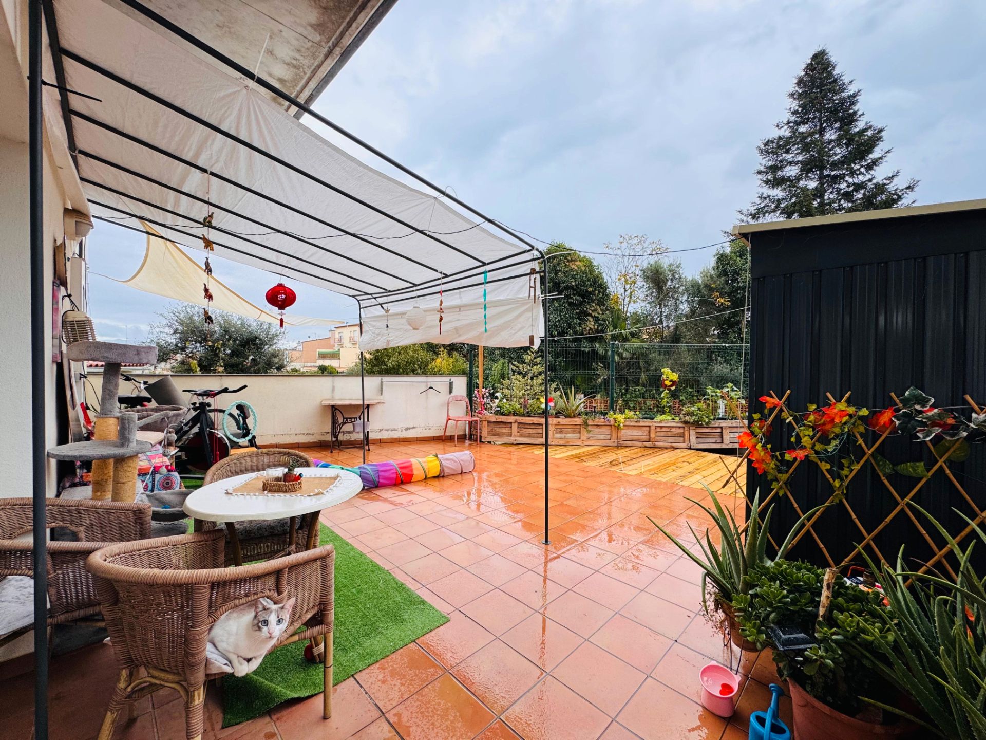 Planta baja for sale