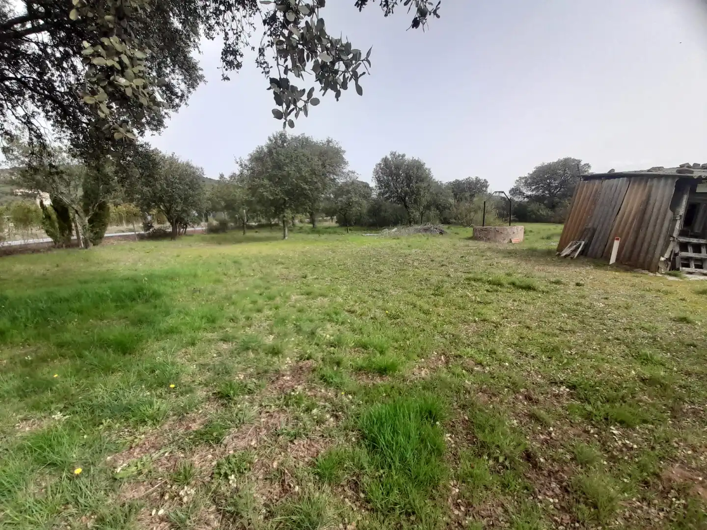 Finca rústica en venta en Brazatortas con Trastero y Piscina