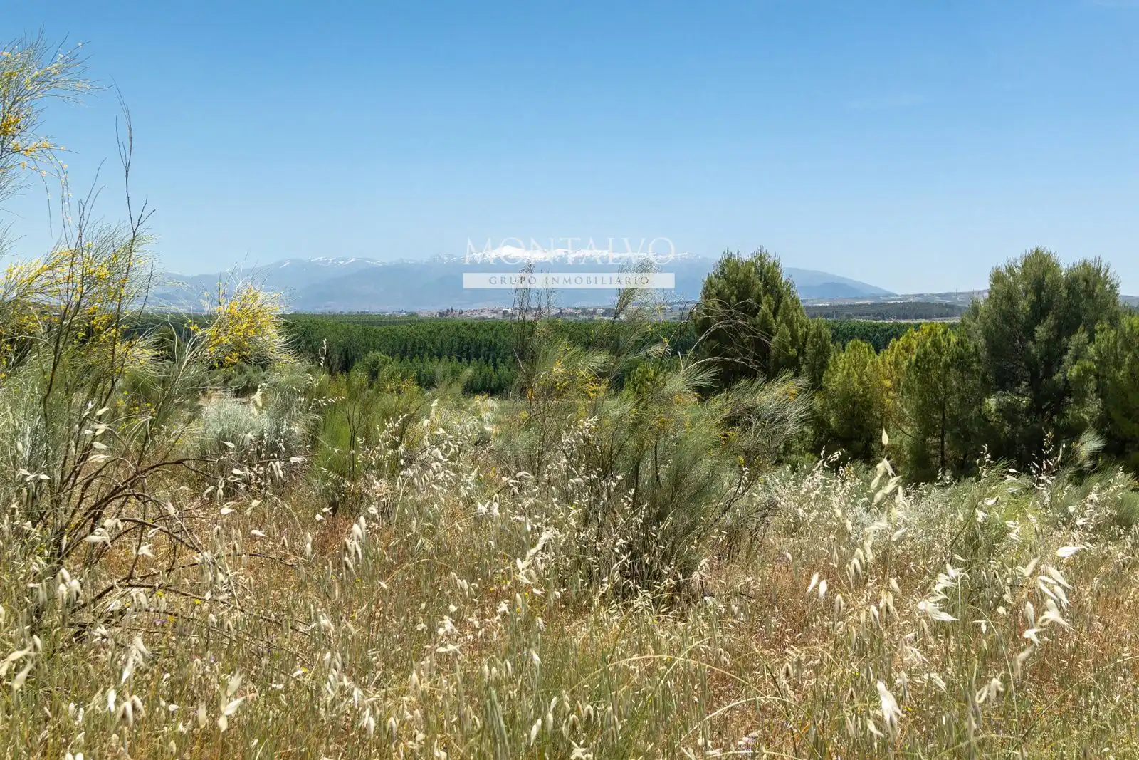 Land for sale in Pinos Puente