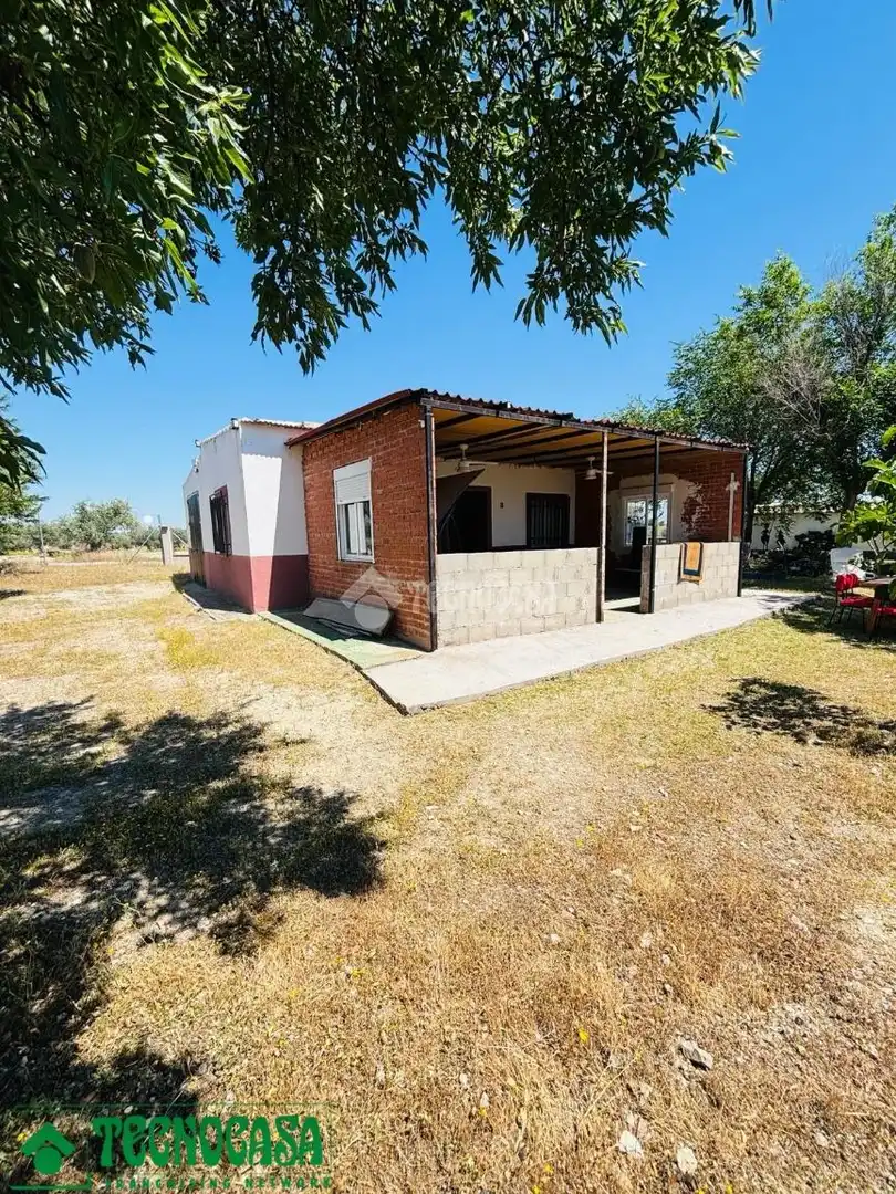 Exterior view of Land for sale in Mascaraque