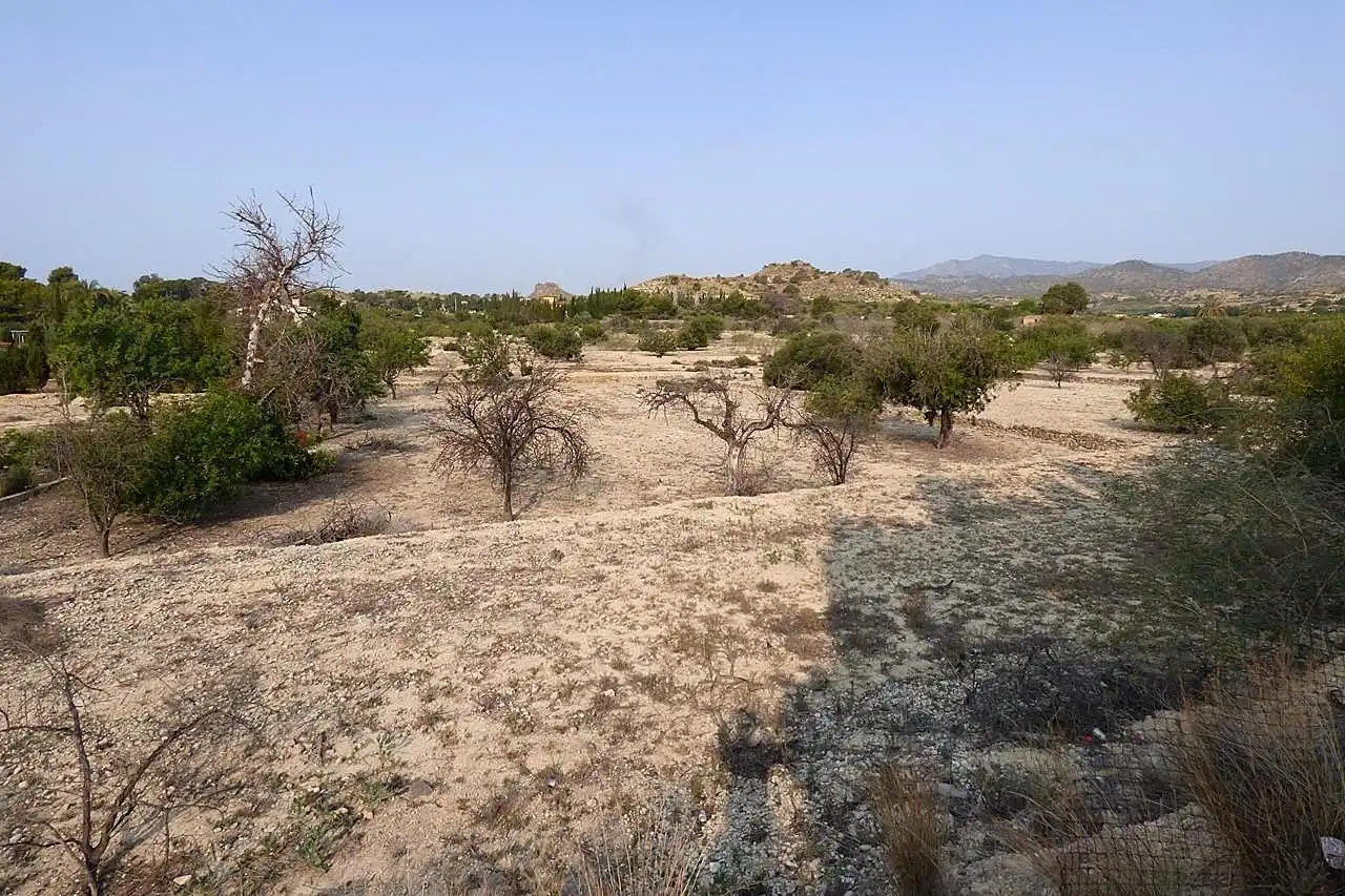 Terreny rústic en venda a Pda. Bañets