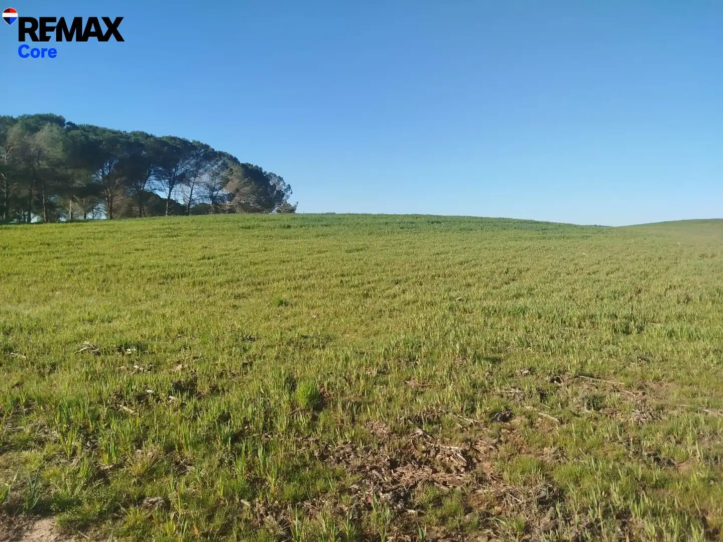 Land for sale in Mérida