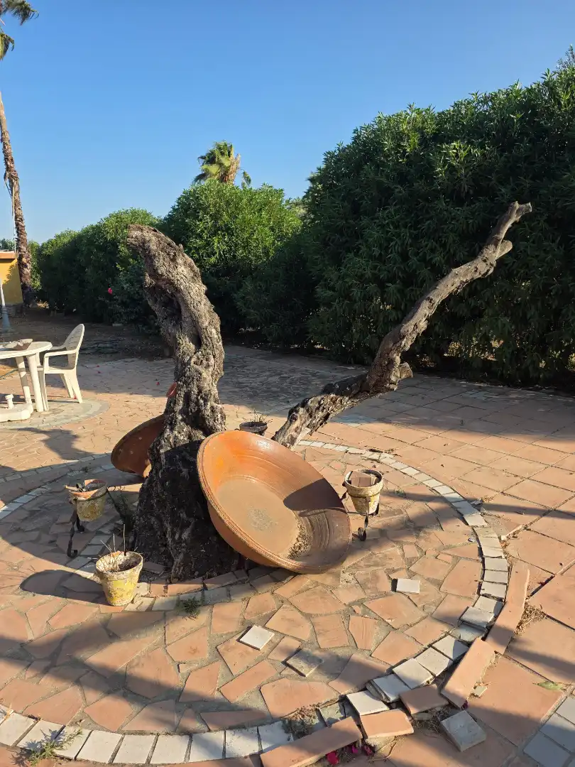 Terreni e lotti in vendita a Pedanías Norte, imagen 4