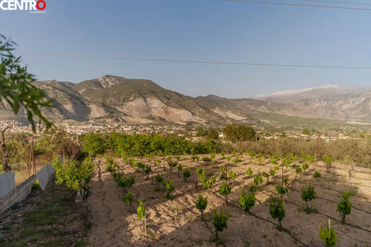 Casa con giardino in vendita a molinos, imagen 41