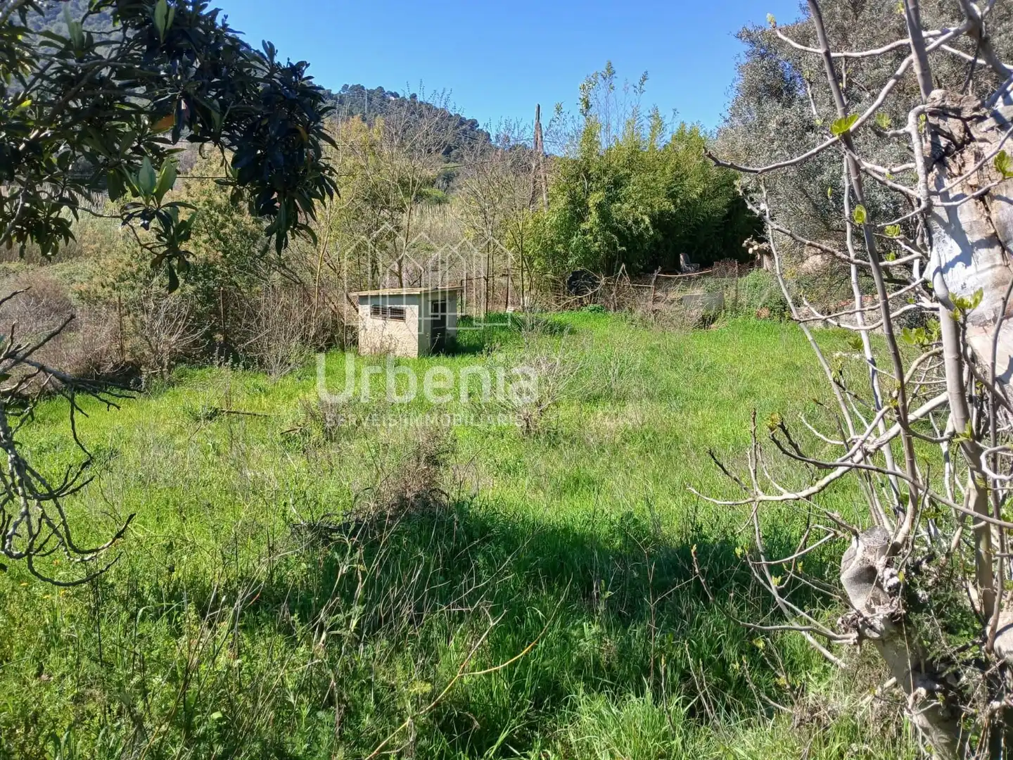 Terreno rústico en venta en Palafolls
