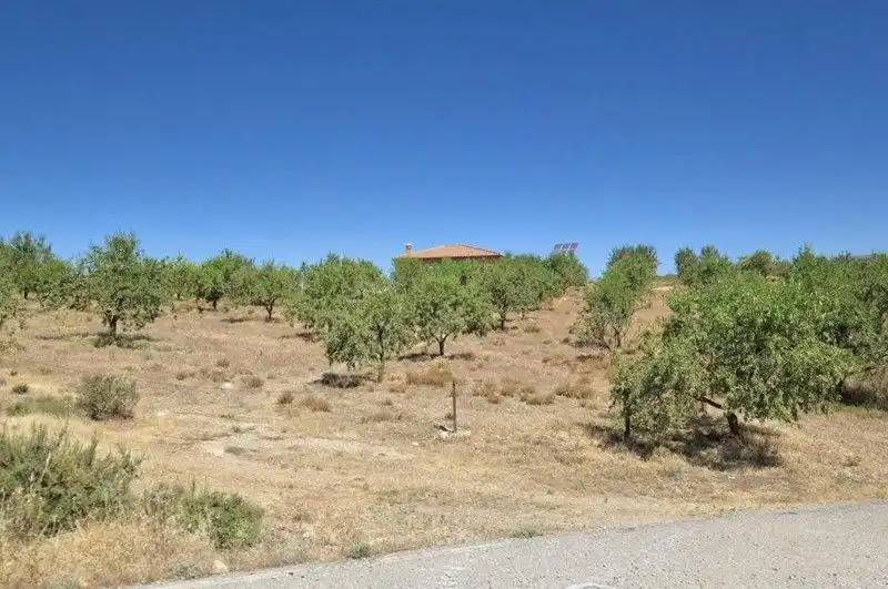 Terreny rústic en venda a Villamena, imagen 28