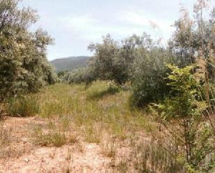 Land for sale in Orcera