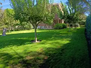 Chalet con piscina en venta en El Bosque, imagen 24
