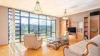 Living room of House or chalet for sale in Llanera  with Heating, Private garden and Terrace