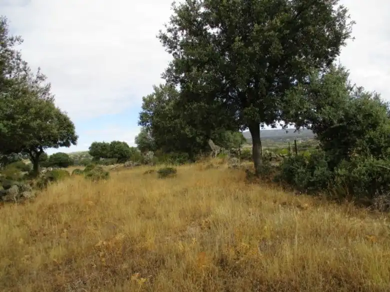 Land for sale in Puente del Congosto