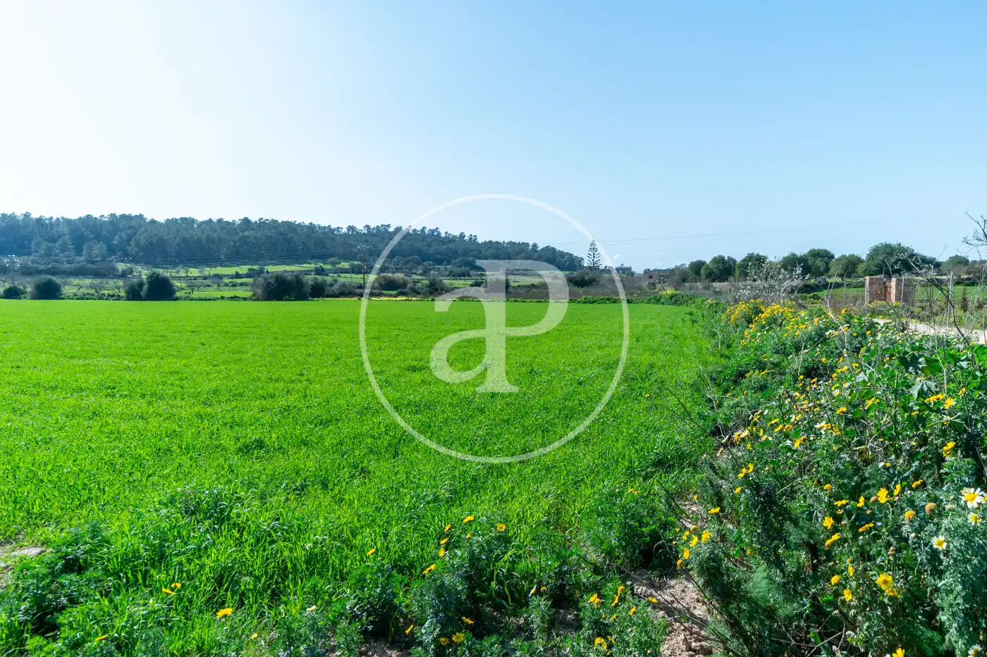 Residential for sale in Porreres