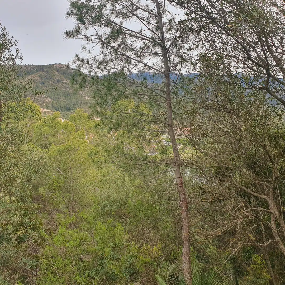 Terrain rustique à vendre à Benifallet, imagen 37