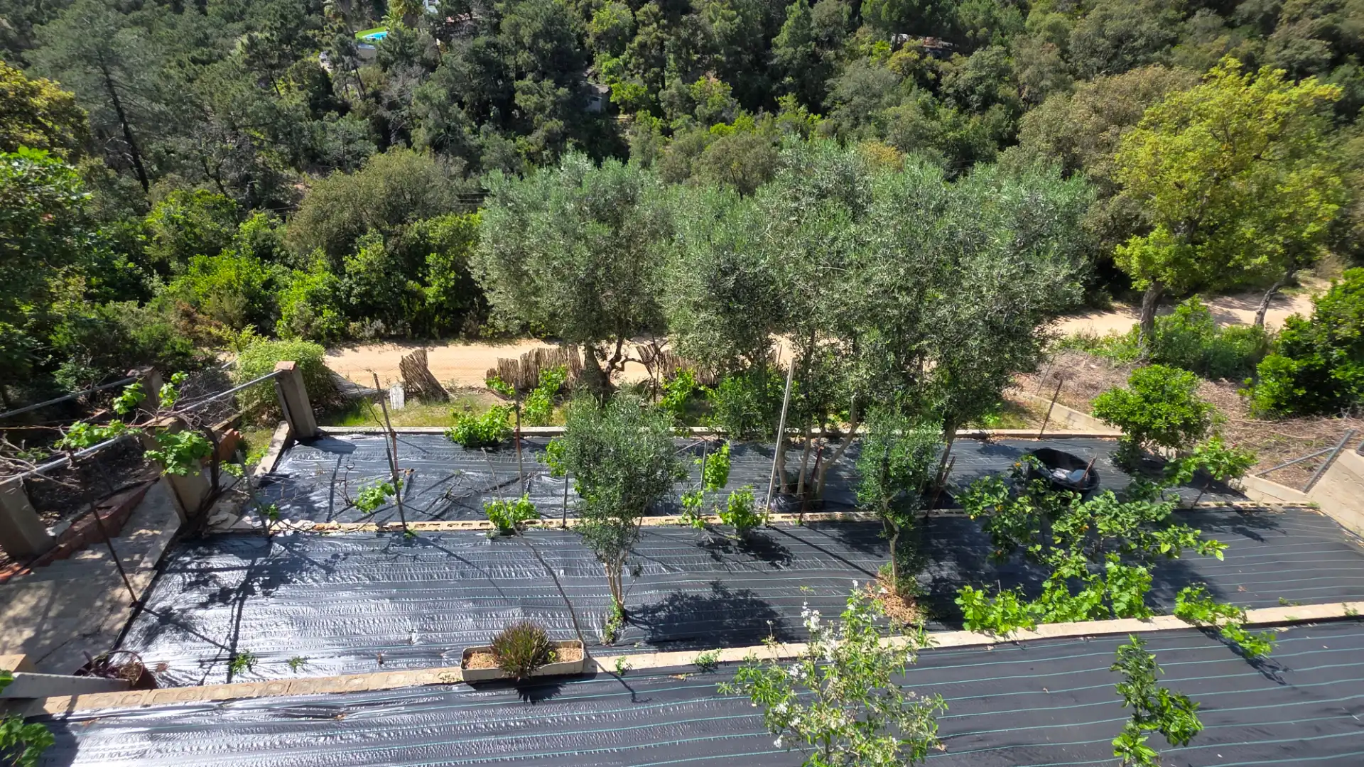 Jardí de Casa o xalet en venda en Lloret de Mar amb Aire condicionat, Calefacció i Jardí privat