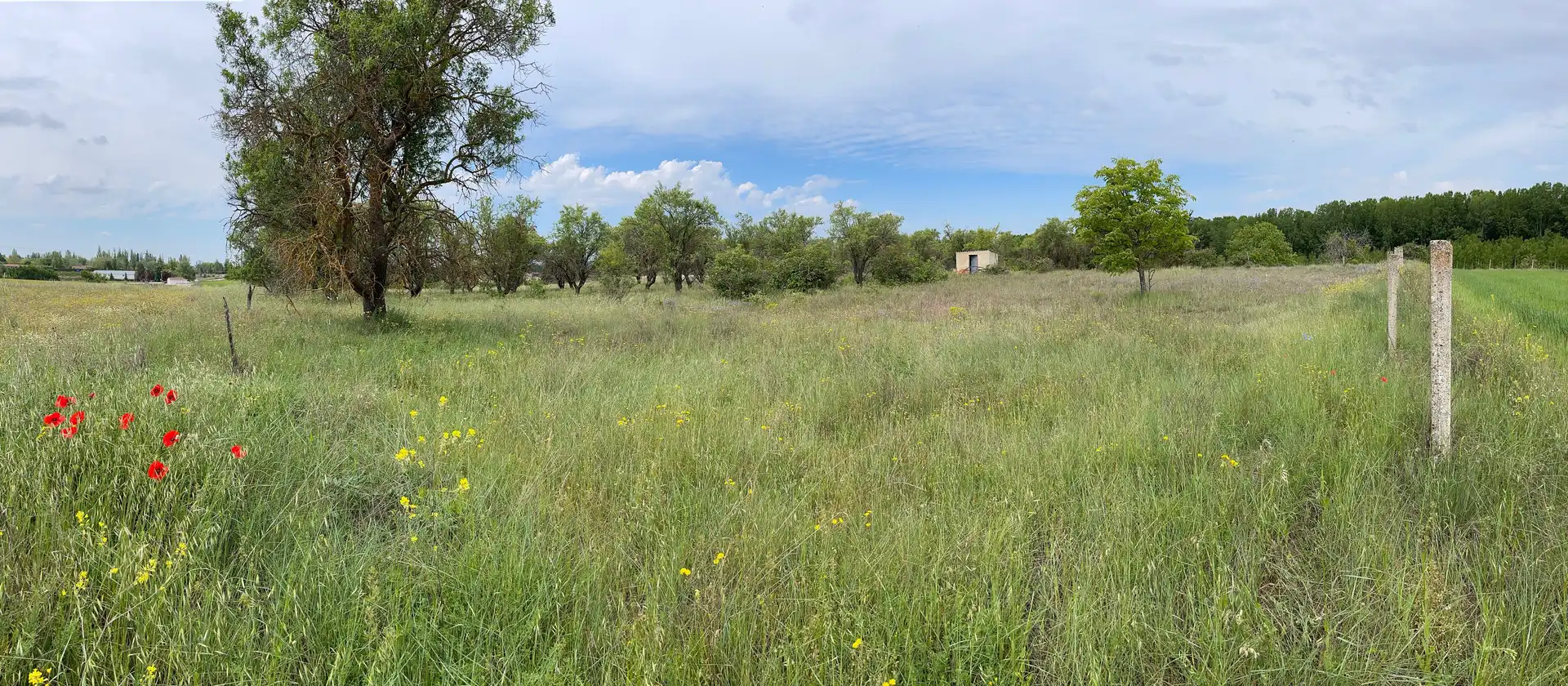 Terreno residencial en venta en Camino del Matadero 1, imagen 2