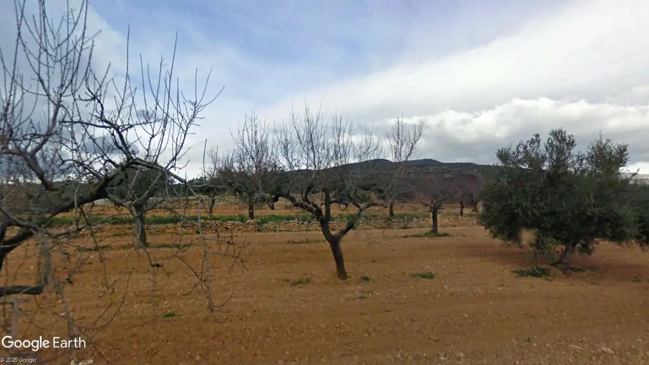 Terreny rústic en venda a Benlloc, imagen 3