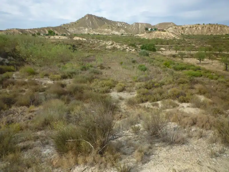 Terreno rustico in vendita a CV-925 24, imagen 11