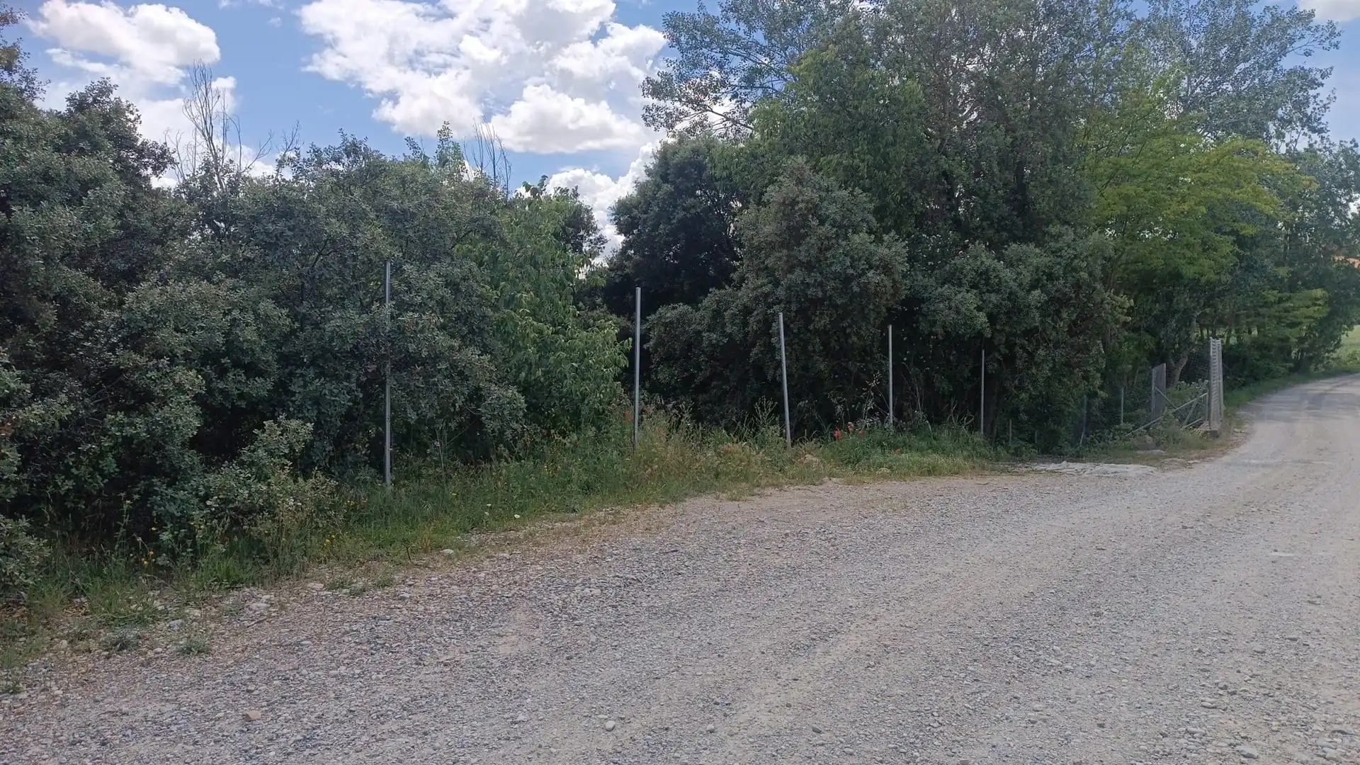 Terreni e lotti in vendita a Almunia de San Juan, imagen 6