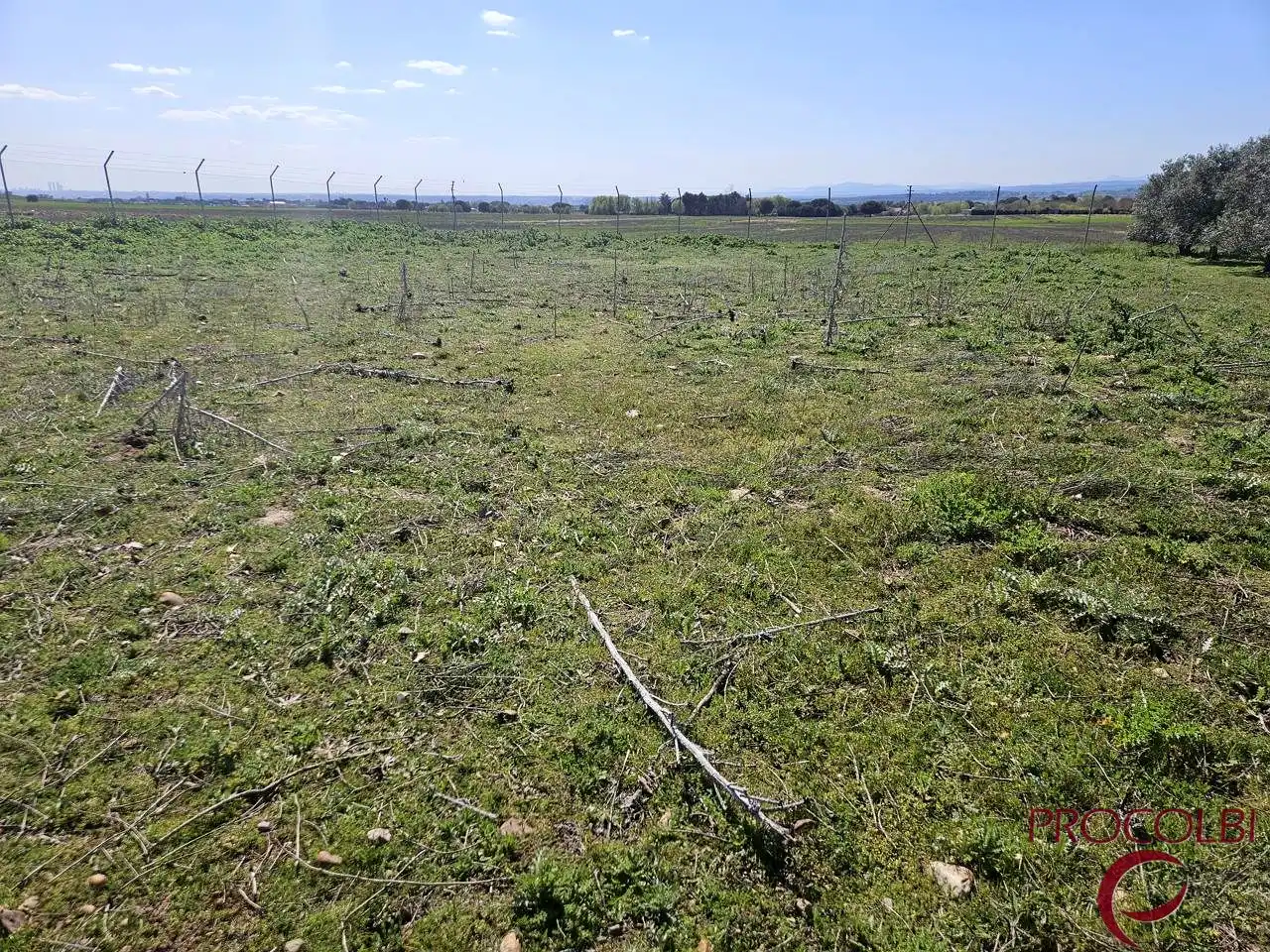 Terreno en venta en Valdeolmos-Alalpardo