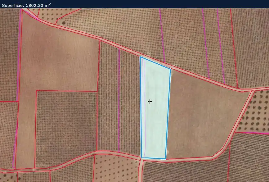 Rural land for sale in Valdepeñas, imagen 11
