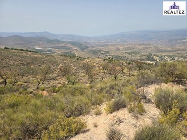 Rural land for sale in Alcolea