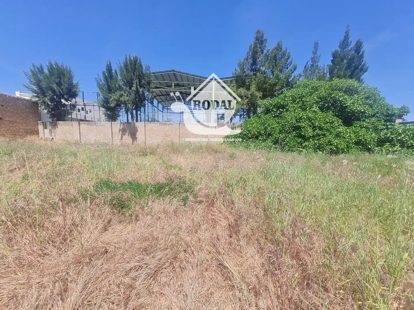 Terreno en venta en Cárcheles