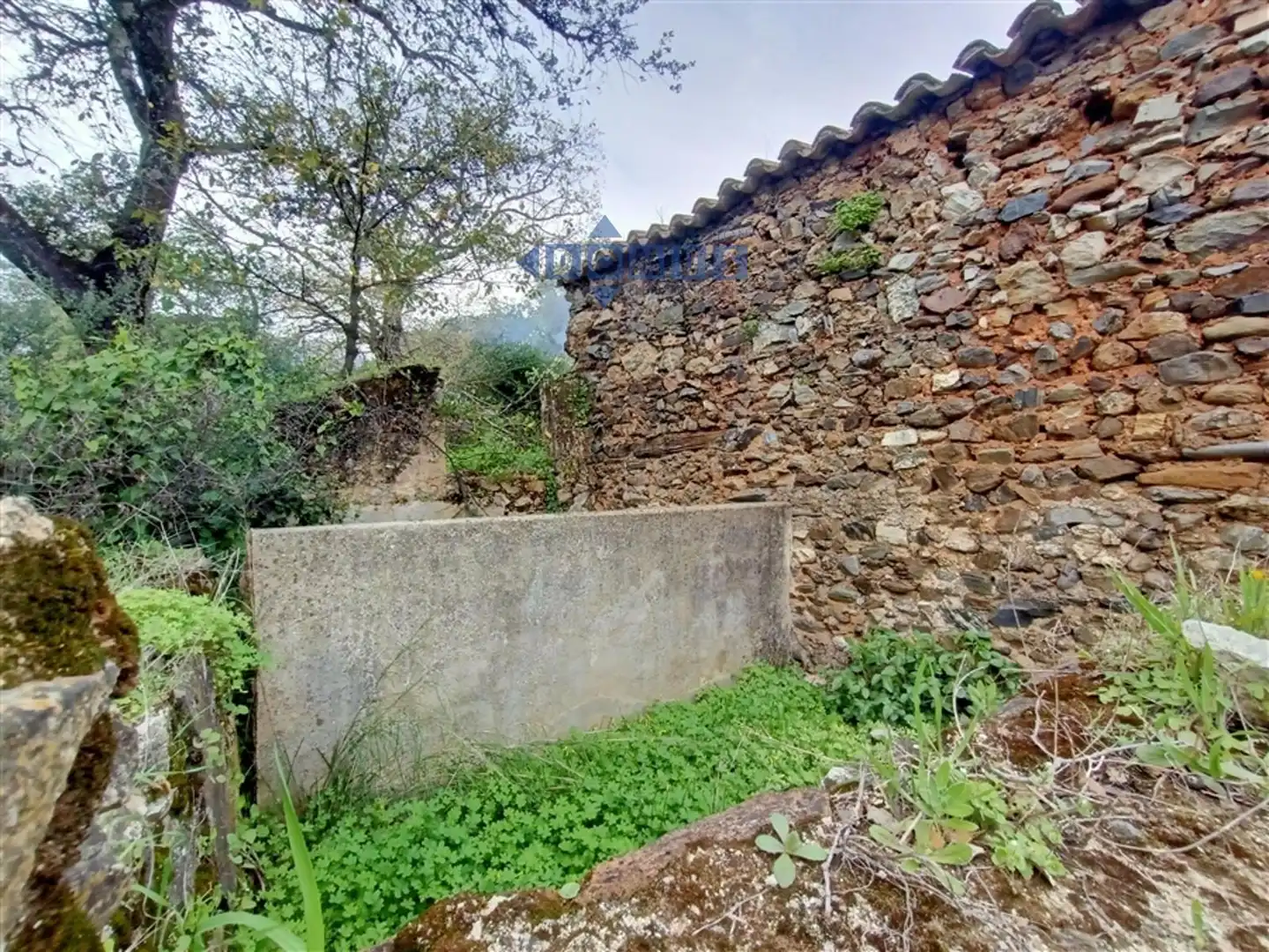 Casa rústica en venda a Algatocín, imagen 14