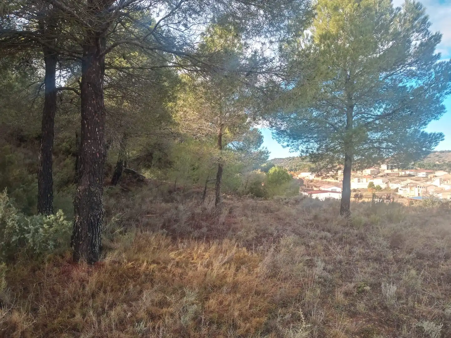 Terreni e lotti in vendita a Valdeltormo, imagen 8
