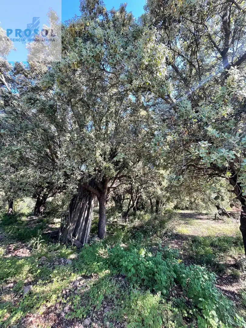 Finca rústica en venta en Vilafamés
